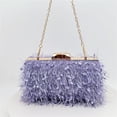 thumbnail image 6 of Simple Tassels Clutch Purses Party Purse Fashion Handbag Ladies Evening Bags, 6 of 20