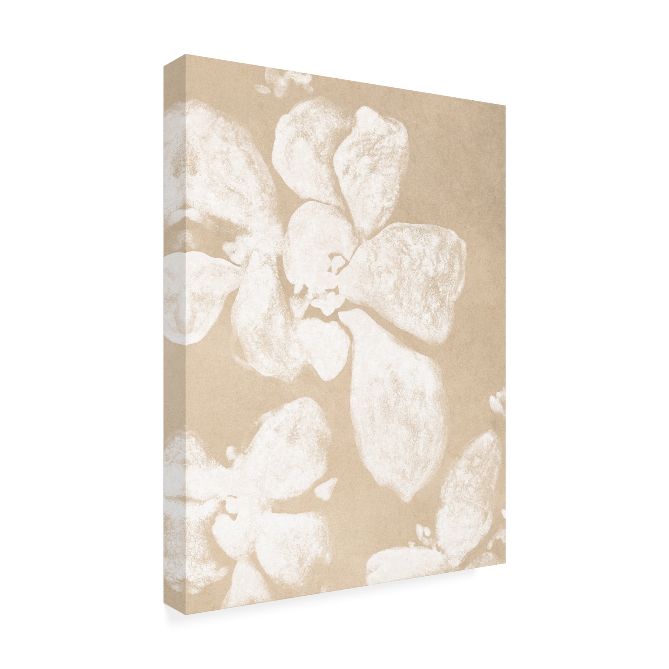 Trademark Fine Art June Erica Vess Ghost Petal II Canvas Wall Art
