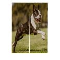 thumbnail image 1 of EREHome Running Boston Terrier Running Dog Japonais Noren Rideau Porte Porte Fenêtre Traitement Rideaux Coton Lin Rideau Taille 85x120 cm, 1 of 1