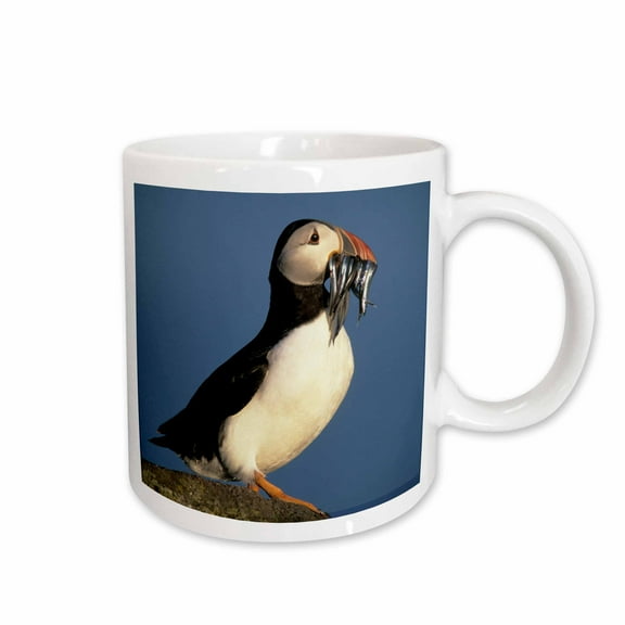 3drose, Scotland, Isle of May, Atlantic Puffin - Eu36 Ksc0006 - Kevin Schafer, 11oz Mug