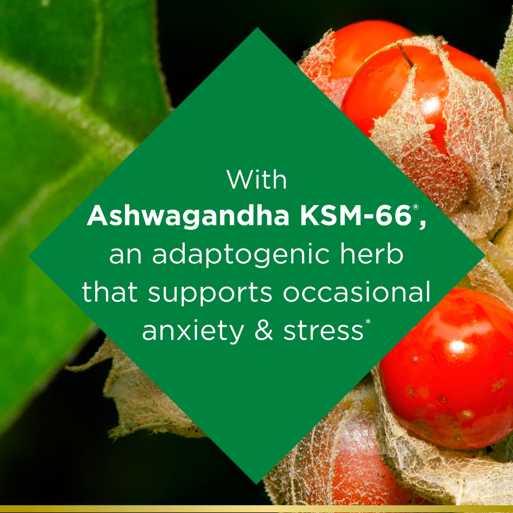 Nature’s Bounty Anxiety & Stress Relief  Supplement, Ashwagandha KSM 66 , 50 Ct - image 4 of 8