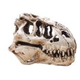 thumbnail image 4 of Dinosaurio Cráneo Decoración Dinosaurio Resin Head Modelo Home Bar Party Decoration Decoración de la Fiesta para Artes de Artes Aprendizaje y Educación Juguetes Guardurnaity HA011452-00B, 4 of 7