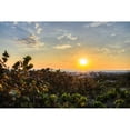 thumbnail image 3 of Burdick, Chuck 24x17 Black Modern Framed Museum Art Print Titled - Sea Grapes at Sunset, 3 of 5