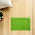 thumbnail image 4 of HAMPPLIES Outdoor Grass Rug Light Green Plastic Material 1Set for Model Makers Educational Displays, 4 of 6