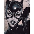 thumbnail image 1 of DC Comics Catwoman Imprimé Perles, 1 of 1