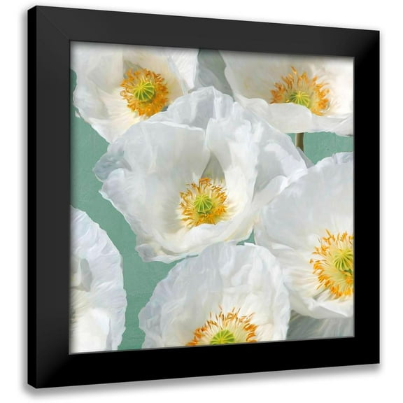 Leonardo, Sanna 12x12 Black Modern Framed Museum Art Print Titled - Poppies on Mint II