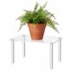 thumbnail image 5 of Soporte Acrílico Para Plantas, Multiusos, Rectangular, Elevador De Exhibición De 4 Patas, Estante Transparente Para Platos, Manualidades, Decoración, Figuras Coleccionables, 5 of 7