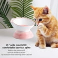 Raised Cat Bowl,Elevated Ceramic Cat Bowls with Tilt Angle,Protect Pet