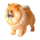 thumbnail image 1 of Figurita de perro realista para niños, juguete cognitivo, modelo de decoración, ornamento, mano de obra fina, Mini escultura de perro, modelo de perro Perro León, 1 of 8