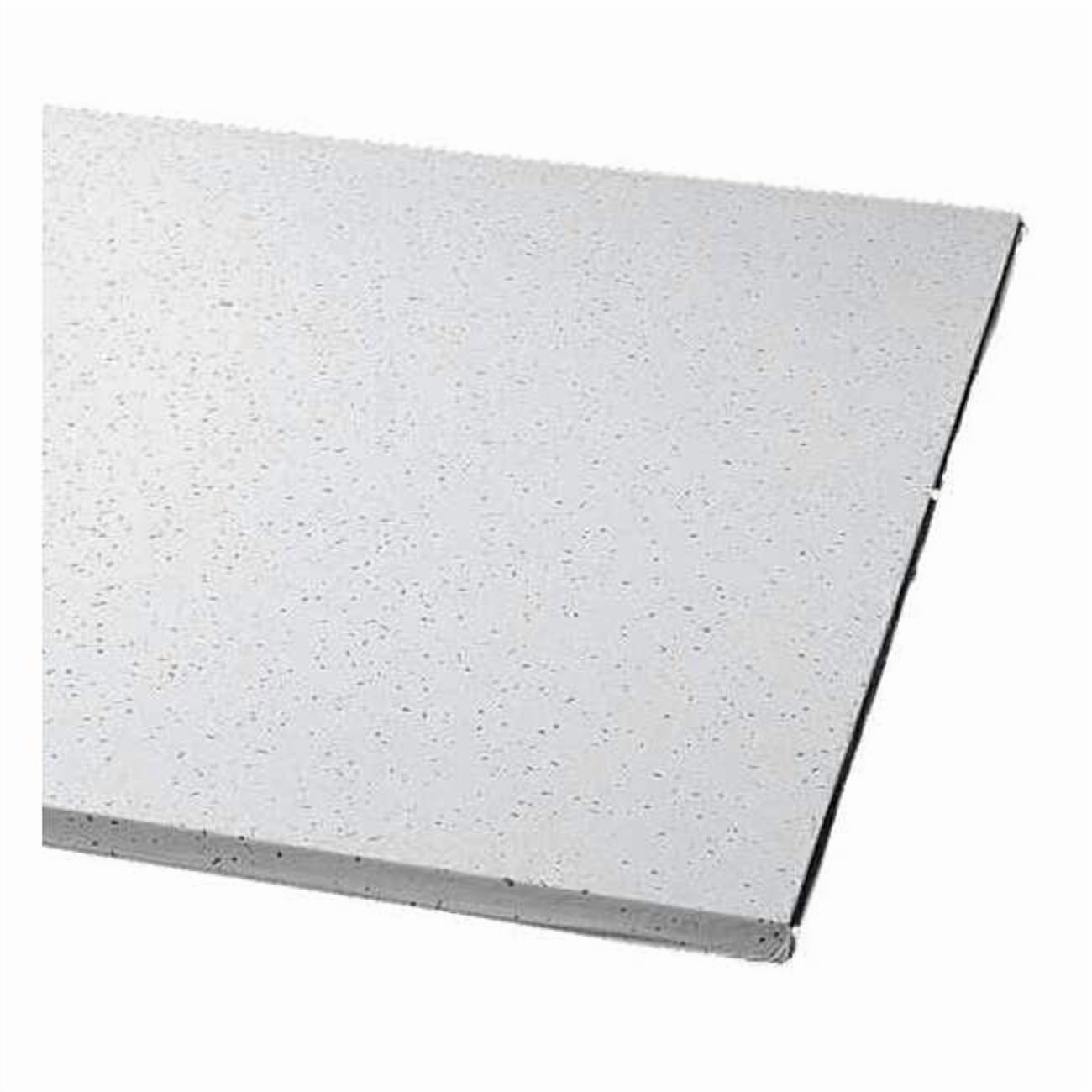 Clean Room Ceiling Tile, 24 in W x 48 in L, Square Lay-In, 15/16 in Grid Size, 8 PK 1721B