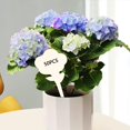 thumbnail image 4 of Paquete de 50 etiquetas para plantas Zulema Etiqueta de plantas en forma de T Flor, 4 of 8