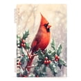 thumbnail image 5 of joogoo A5 Spiral Journal Notebook Cardinal on Fir Berry College Ruled Notebooks 8.3" x 5.7" 2 PCs, 5 of 8
