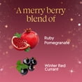 thumbnail image 5 of (2 pack) Glade® PlugIns® Refills Air Freshener, Christmas Holiday Pomegranate & Currant, 3.35oz., 5 Count, 5 of 13