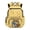Cute Fish Cat, variant on Chririnla Mushroom Capybara Backpacks for Girls 17 inch School Bookbag Backpack with Multi Pockets Kids School Backpacks Primary Elementary Middle Back Packs
