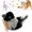 Black sparrow, variant on LANHUE Interactive Cat Toys (No Flying) with Mouse Sounds for Indoor Cats to Play Alone and Squeak, Melody Chaser Play and Squeak Kitten Toy for Boredom