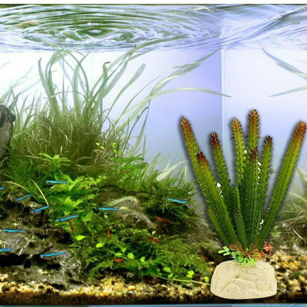 Essen Aquarium Ornament Simulation Decorative Plastic Artificial Cactus  Plant Water Grass for Fish Tank