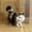 Black, variant on Under 15 Plush Toy Model Toy Aged 2+ Simulation Cat Toys Plush Toys Simulation Animal Models Birthday Gifts