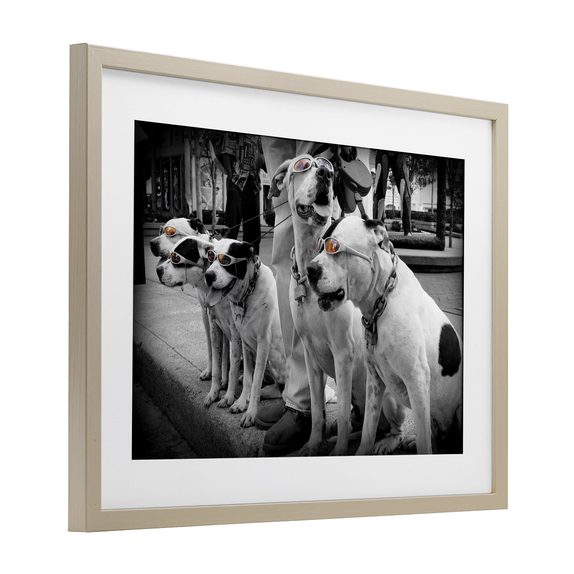 Stupell Industries Afternoon Stroll Pups Birch Framed Print Under Glass, design by Scott Henderson