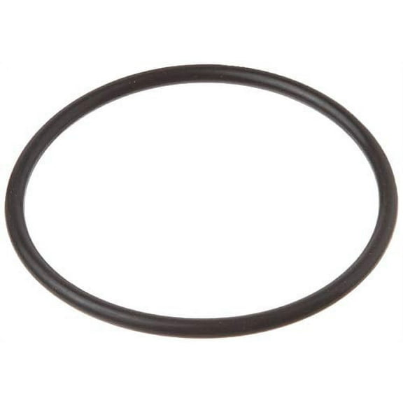 Pentair 355330 Strainer Pot Flange O-Ring Replacement Pool/Spa Pump, Filter and Skimmers