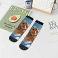 thumbnail image 5 of Salouo Playful Cat Fisheye View Pattern Unisex Middle Tube Socks,Middle-Finger Knee High Socks Over The Calf Tube Stocking Crew Stockings for Women and Men Tube Socks, 5 of 8