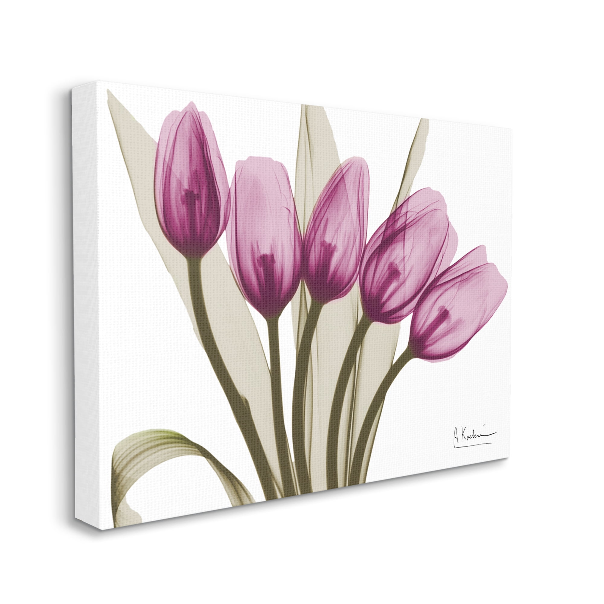Stupell Industries Contemporary Pink Tulips Botanical & Floral Photography Gallery Wrapped Canvas Print Wall Art, 40 x 30