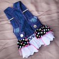 thumbnail image 2 of Vestido de Puente para Volantes de Lunares y Lunares de Colorido Rosa para Lentejuelas y Corazones de Dog Puppy - X, se describe X Zulema Vestido vaquero para perro mascota, 2 of 8