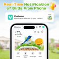 thumbnail image 3 of Comedero para pájaros con cámara birdsnap® MON 2K, tarjeta de vídeo de 32 GB, 3 of 9