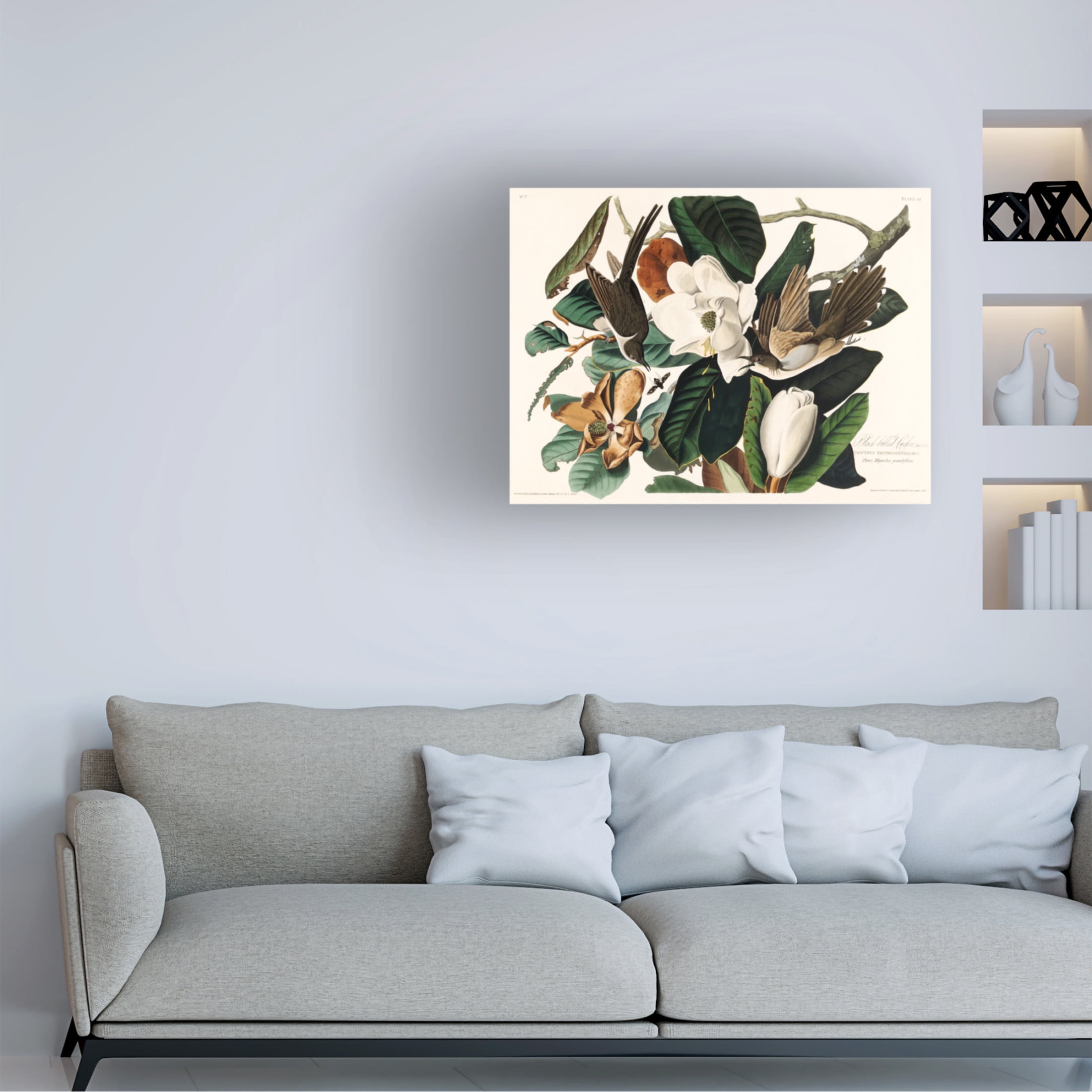 Trademark Fine Art Pictufy Black Billed Cuckoo From Birds of America 1827 Canvas Wall Art
