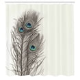 thumbnail image 5 of Ambesonne Peacock Shower Curtain, Feathers of Exotic Bird, 69"Wx75"L, White Taupe and Blue, 5 of 5