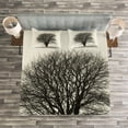 thumbnail image 3 of Ambesonne Grey Quilted Bedspread Set 3 Pcs, Fall Tree Monochrome Art, Queen Size, Beige Black, 3 of 3