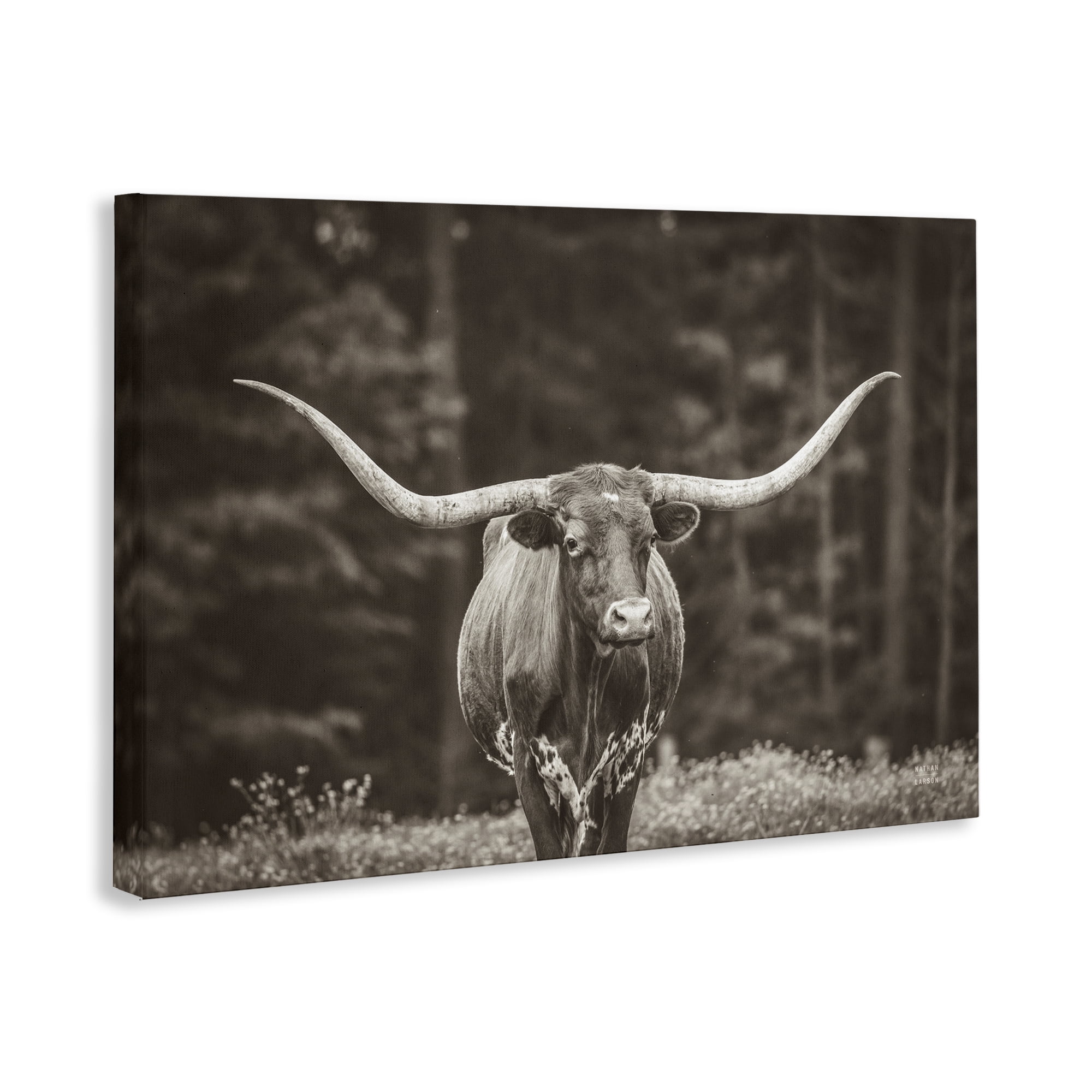 Stupell Industries Longhorn Among Flowers Animals Photography Wrapped Canvas Art Print Wall Art, 24 x 16