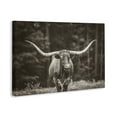thumbnail image 3 of Stupell Industries Rustic Lodge Longhorn Among Flowers Canvas Art, 30 x 20, by Nathan Larson, 3 of 8
