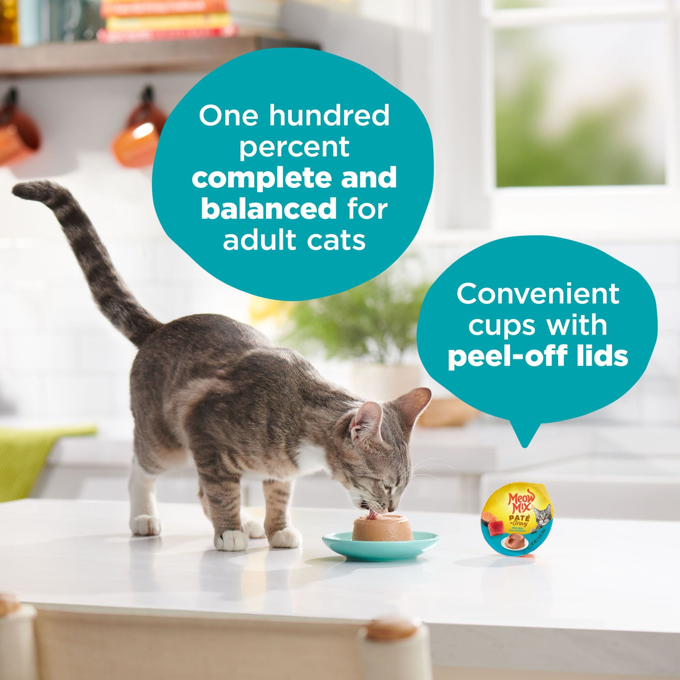 (12 pack) Meow Mix Pate in Gravy With Real Tuna & Salmon, Wet Cat Food, 2.75 oz Cup