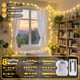 thumbnail image 5 of Cadena de luces LORRYTE, paquete de 2, 16 m, 120 LED, impermeables, 5 of 6
