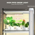 thumbnail image 4 of VEVOR Plant Stand with Grow Light, 4 Tiers Plant Shelf with 3000K 180W LED Full Spectrum Light for Indoor Plants, Grow Light Shelf with Timer for Seed Starting 35.4" L x 13.8" W x 59.1" H, 4 of 9