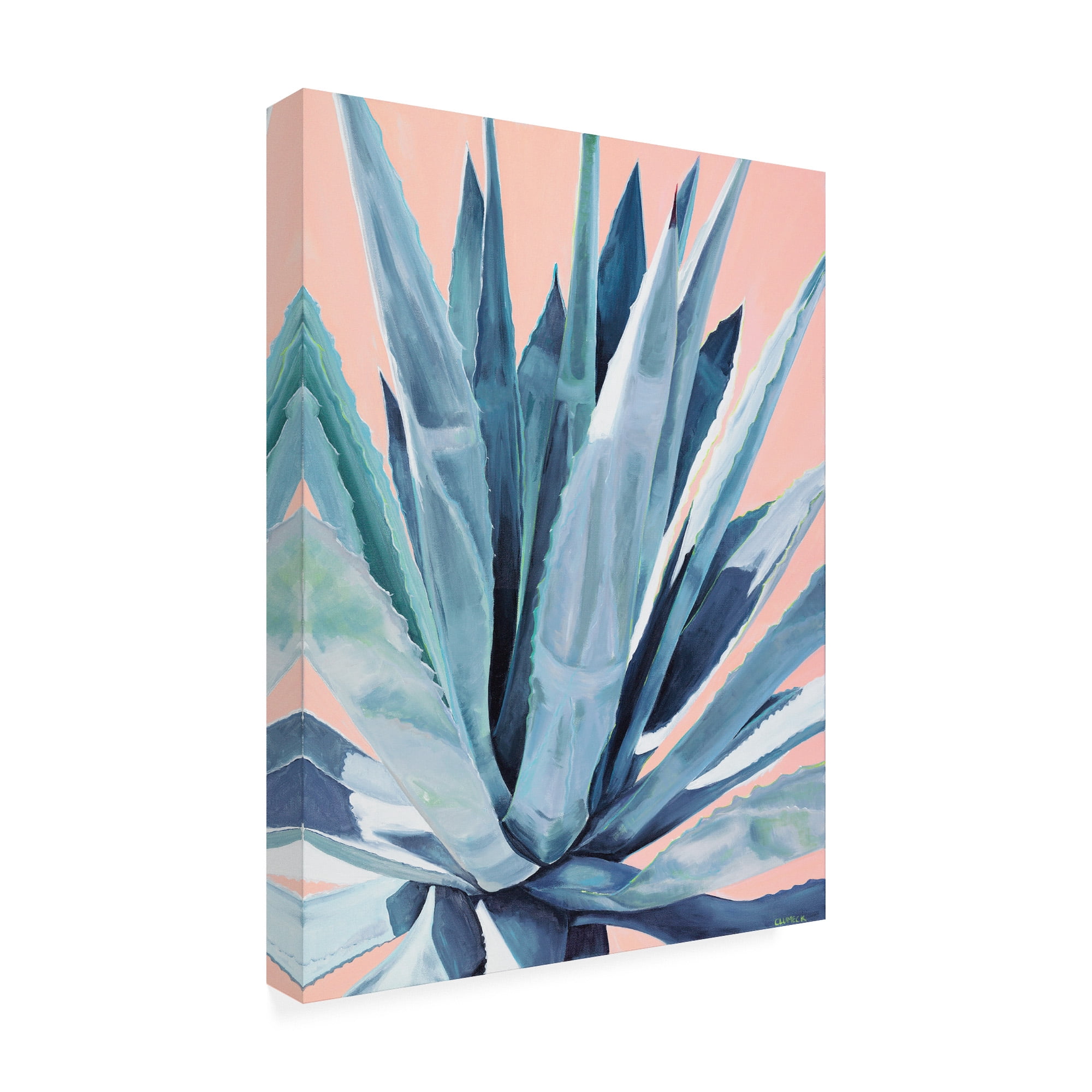 Trademark Fine Art 'Agave with Coral' Canvas Art by Alana Clumec
