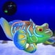 thumbnail image 4 of Simulación de Pez Rana ANGGREK USB Decoración de Acuario EB2115, 4 of 8