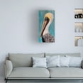 thumbnail image 3 of Trademark Fine Art K.C. Grapes Pelican On Wood Pickets Canvas Wall Art - 12x24, 3 of 4
