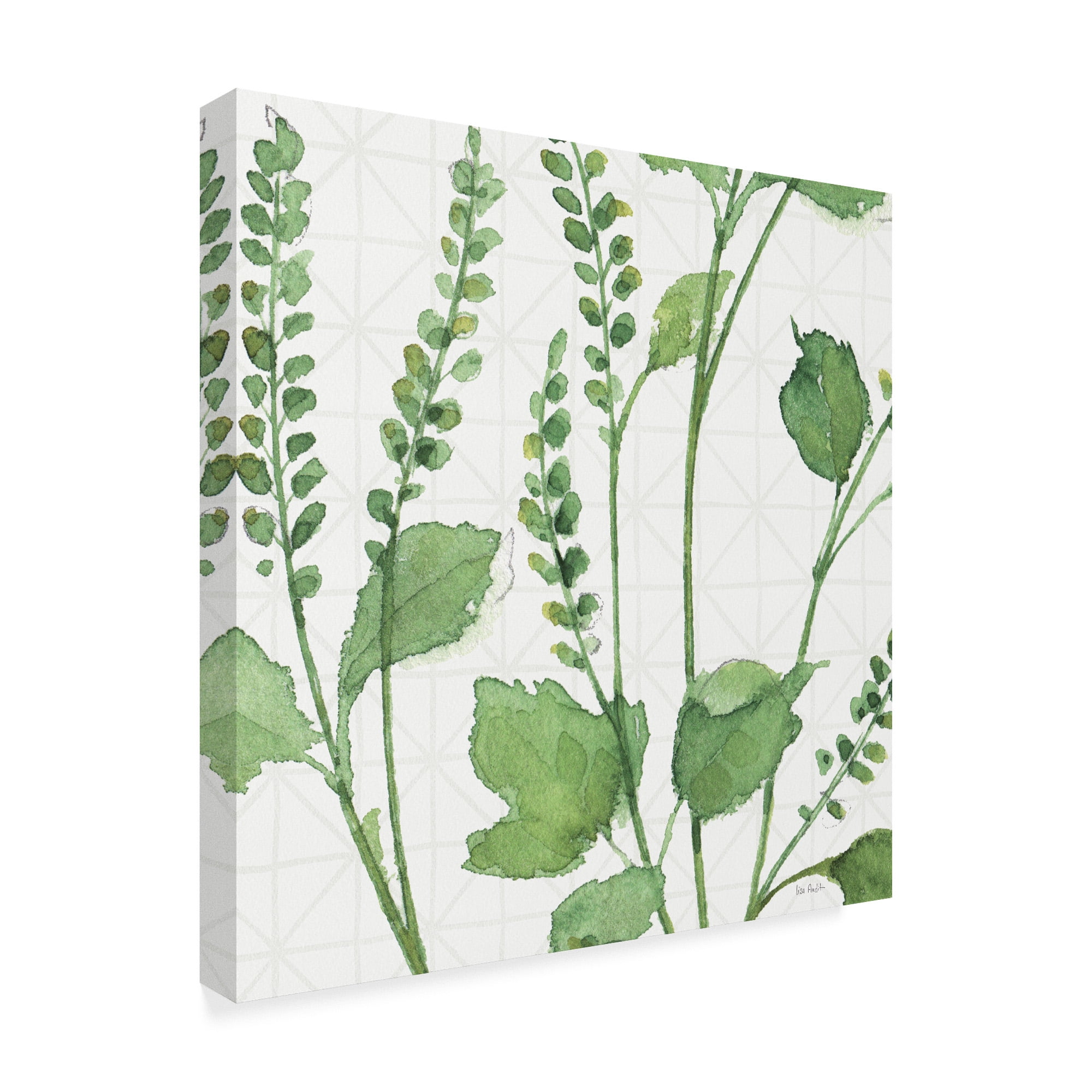 Trademark Fine Art 'Mixed Greens LIV' Canvas Art by Lisa Audit