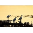 thumbnail image 2 of Alan Hausenflock 44x31 Gallery Wrapped Canvas Wall Art Titled - Egrets in the Sunrise I, 2 of 4