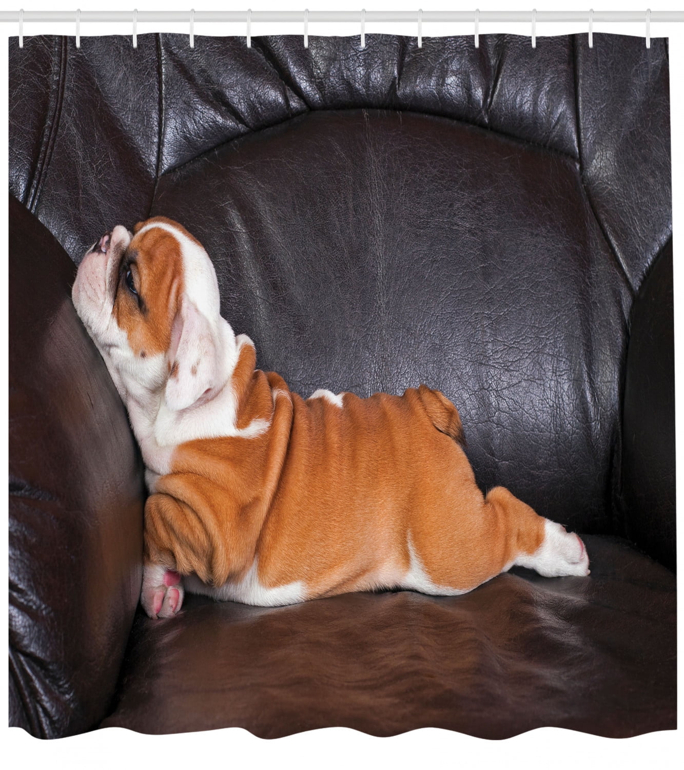 English Bulldog Shower Curtain Puppy Resting On A Sofa Funny
