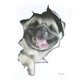 thumbnail image 2 of Injueey Pegatina de pared rota 3D para gatitos, pegatina de inodoro para pared, pegatina decorativa para Baño Decoración del hogar Perro, 2 of 4