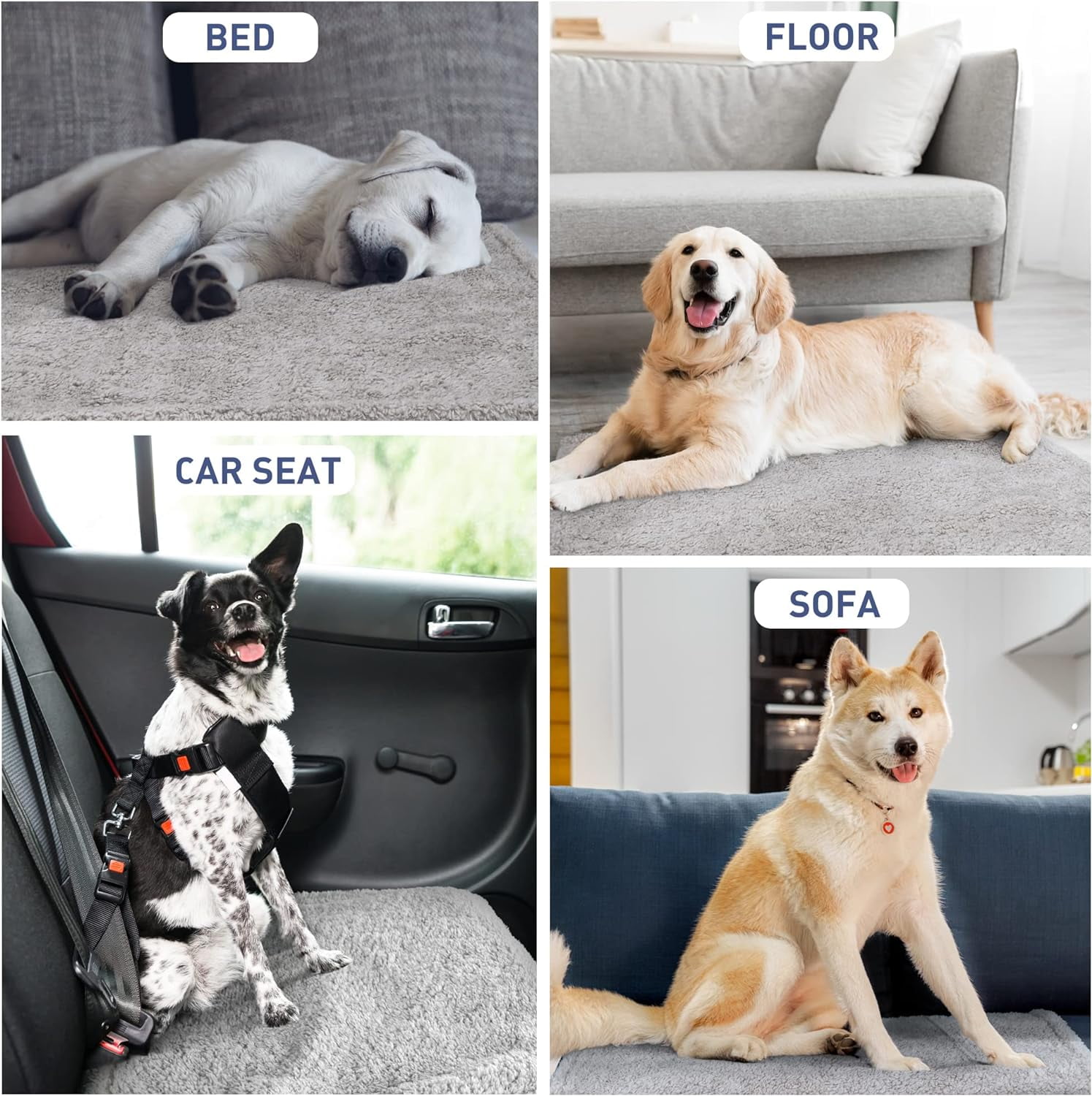 Pawsse waterproof blanket sale