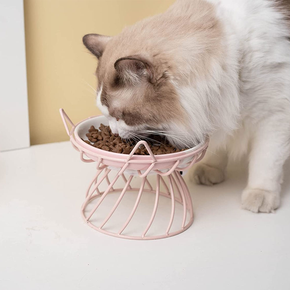 Double Elevated Cat & Small Dog Bowls Feeding Station, Raised Cat Food Bowl,  Personalized Cat Bowls Stand 2 X 370ml / 1.5 Cup Bowl 