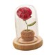 thumbnail image 4 of Flor de Flor de punto hecha a mano con centro de mesa de cúpula Mano de obra exquisita Rosa de Cumpleaños Boda Regalo del día de BLESIY Rosa De Ganchillo, 4 of 8