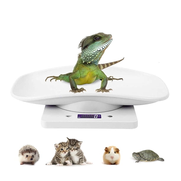 Báscula digital para mascotas, con pantalla LCD, báscula electrónica para alimentos, mini precisión