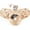 Beige Deer, variant on Collapsible Cat Tunnel – Interactive Tube with Wand, Peek Holes, and Ball, for Indoor Cats, Great Play Toy