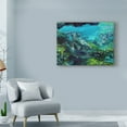 thumbnail image 3 of Tranquility Atlantic Bottlenose Dolphins' Canvas Art by Lucy P. Mctier, 3 of 3