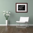 thumbnail image 3 of Trademark Fine Art "Pearls of Nature" Canvas Art by Mathieu Rivrin, White Matte, Wood Frame, 3 of 4