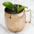 thumbnail image 2 of Select Home 818850012315 Set 4 16 Ounce Moscow Mule Copper Mugs, 2 of 2